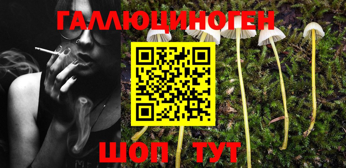 Псилоцибиновые грибы мухоморы Лянтор
