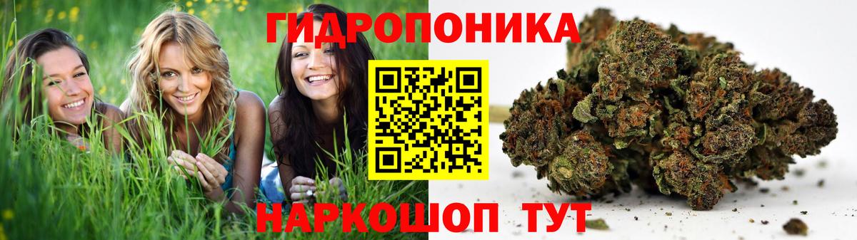 Канабис планчик Лянтор